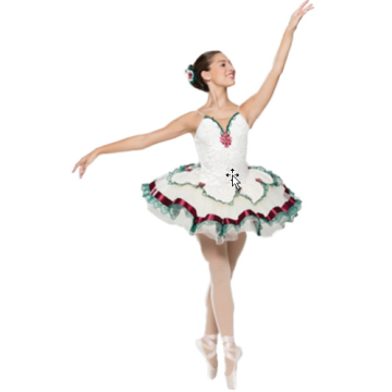 Sofia Performance Tutu